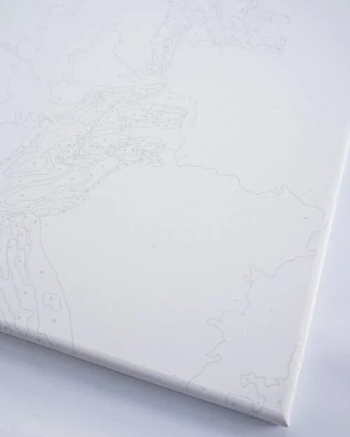 Sakura In Japan Paint by Numbers, Brushme