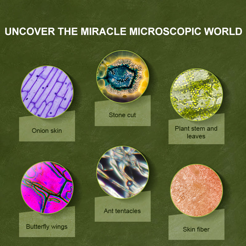 Exploring With Microscope Mideer