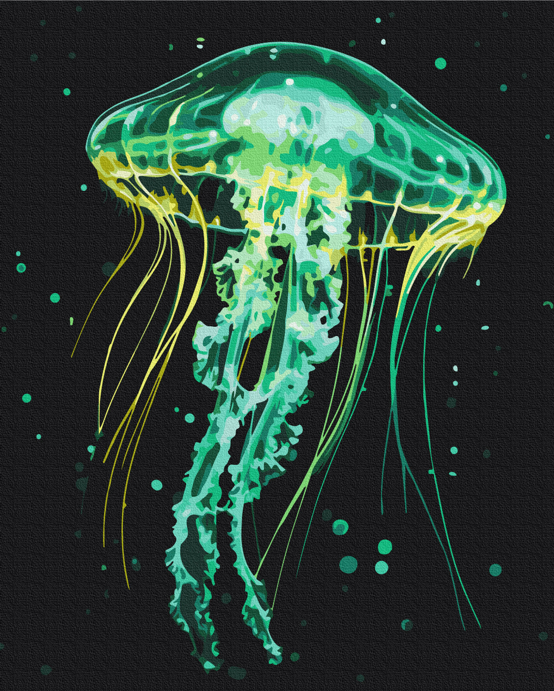 Shining Jellyfish Paint By Numbers, Brushme