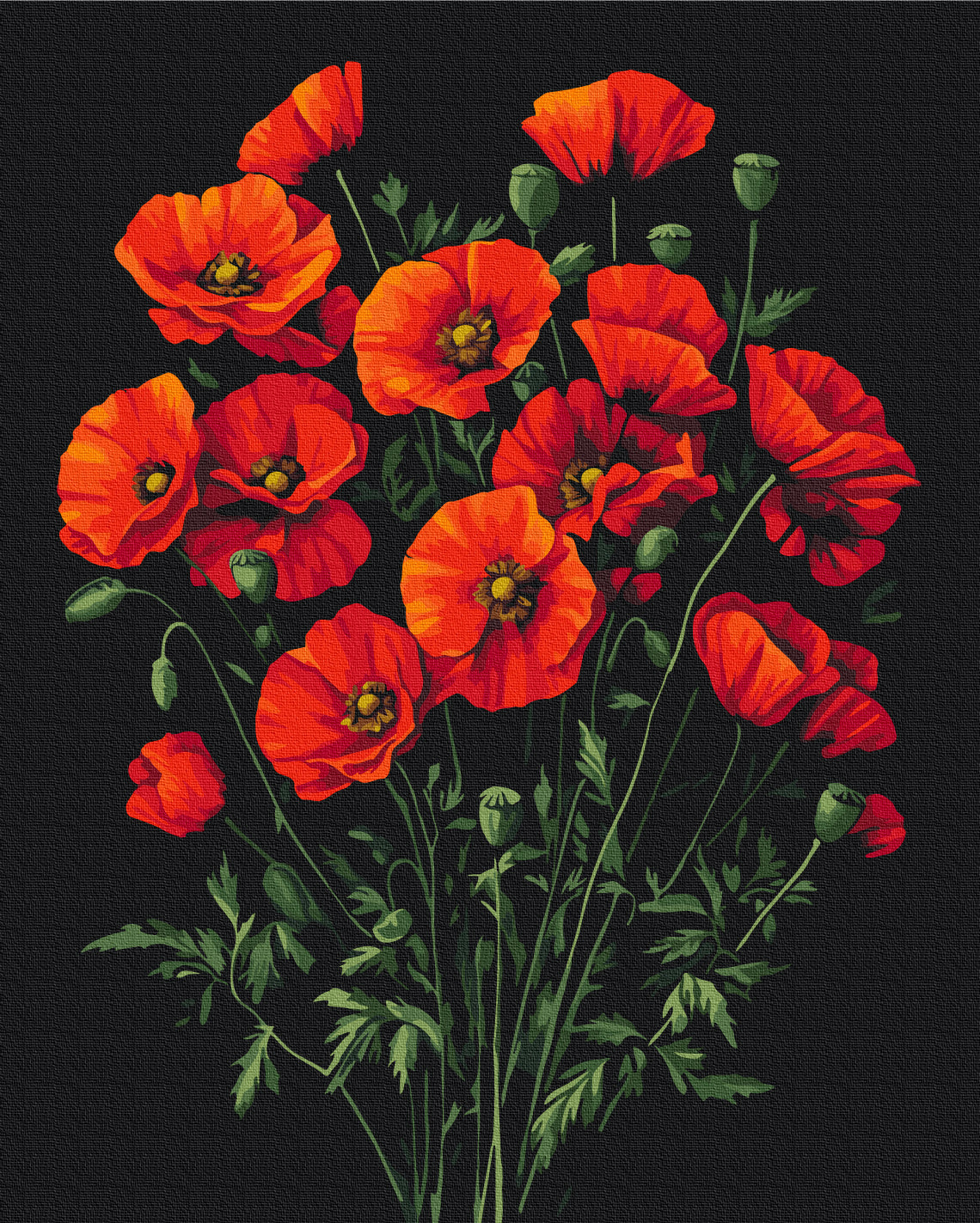 The Charm of Poppies Paint by Numbers, Brushme