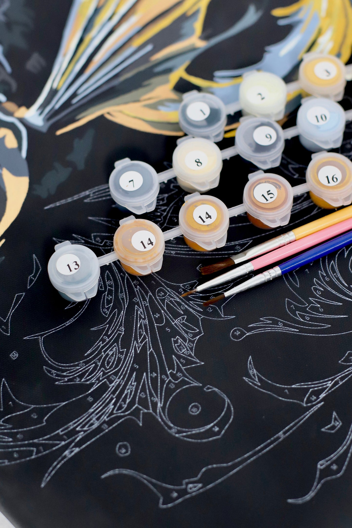 Magic Cat Paint by Numbers, Brushme