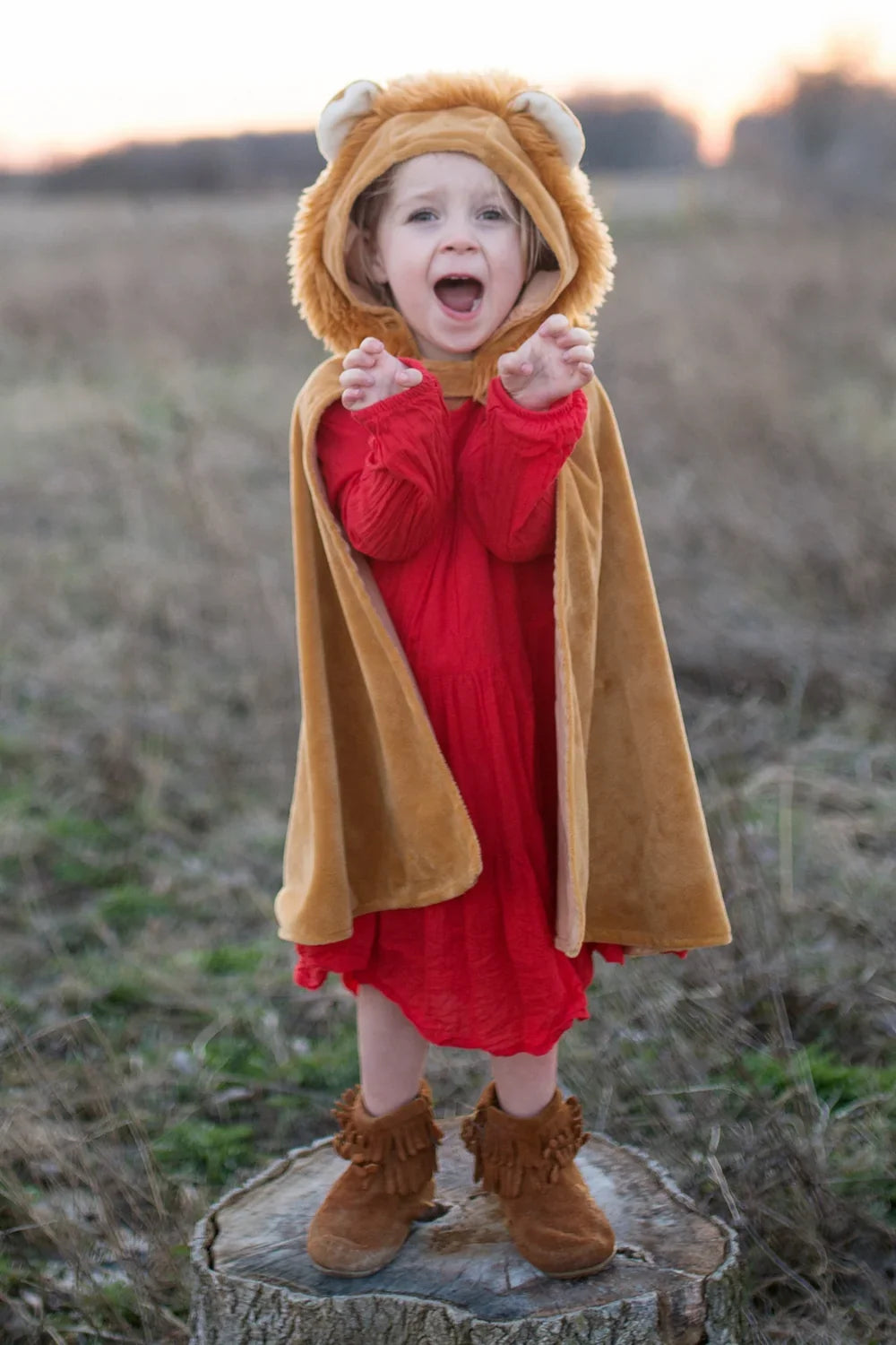 Toddler Lion Costume Cape, For Kids 2-3