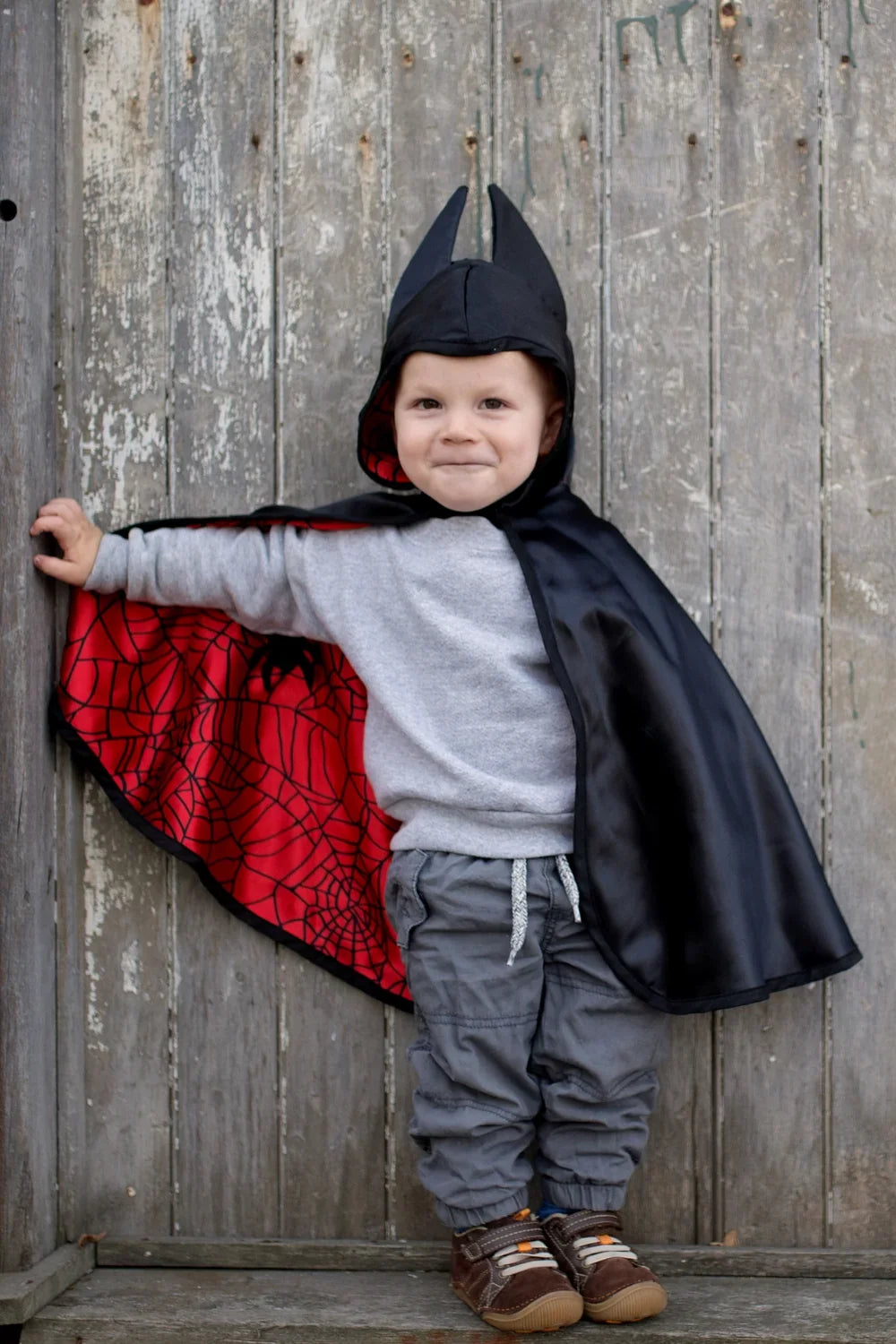 Reversible Spider And Bat Cape, Halloween Costume For Kids