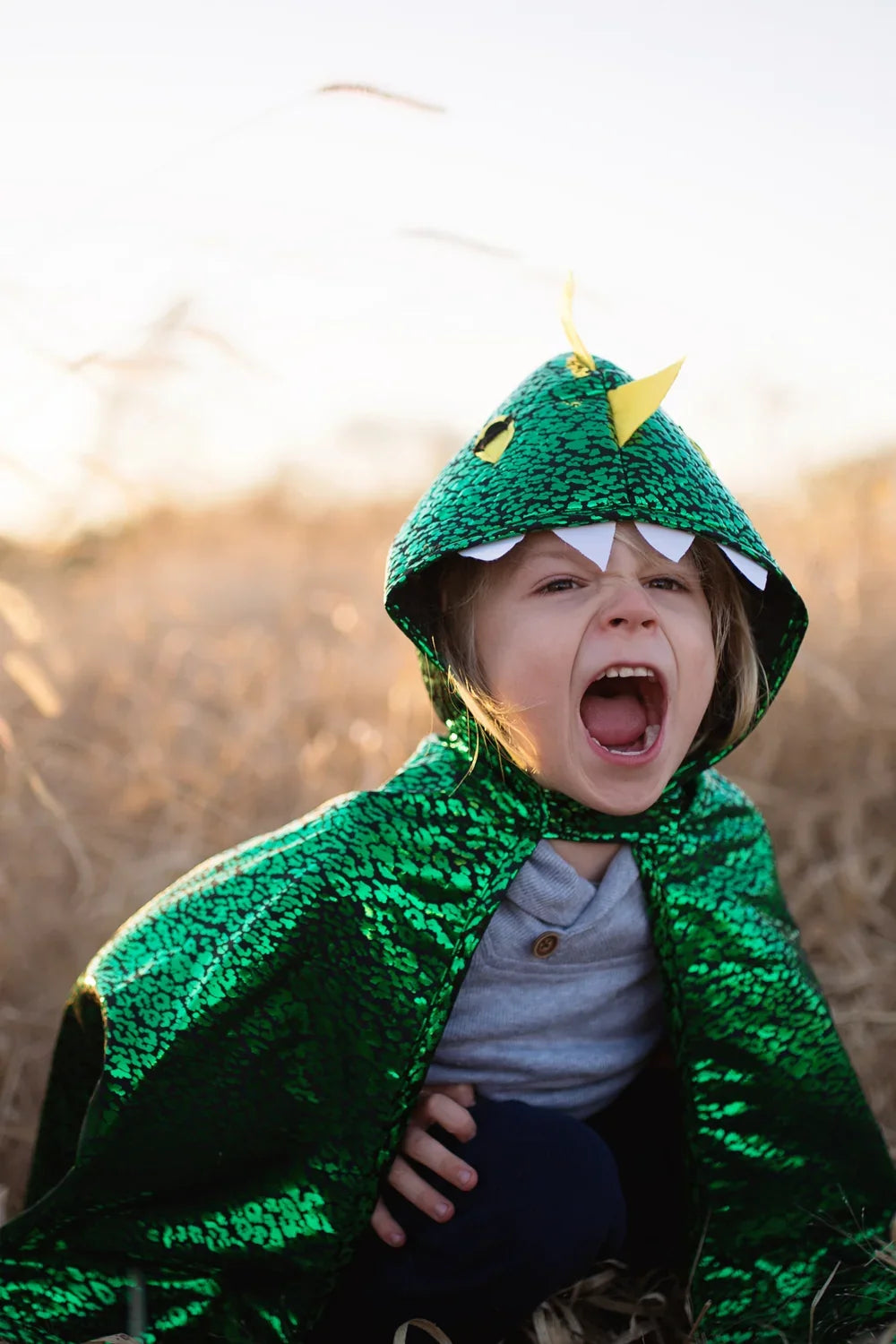Toddler Dragon Cape For Kids 2-3