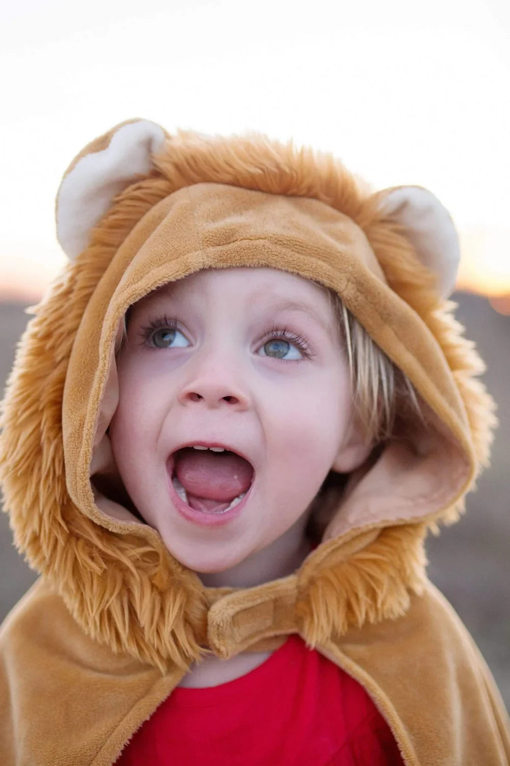 Toddler Lion Costume Cape, For Kids 2-3