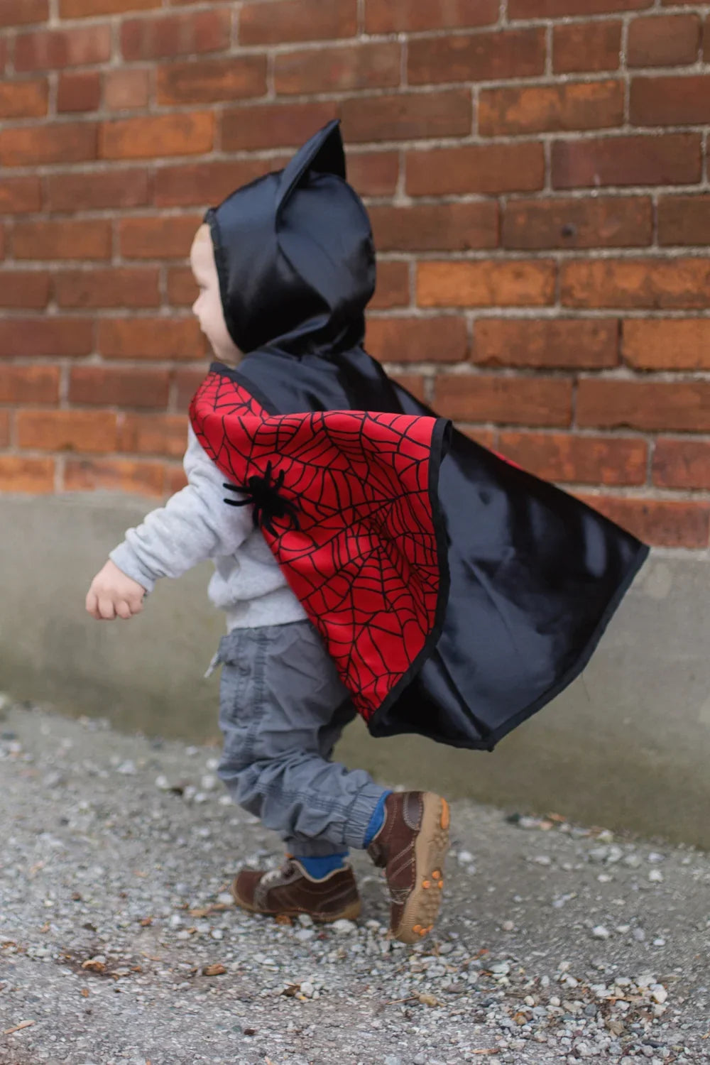 Reversible Spider And Bat Cape, Halloween Costume For Kids