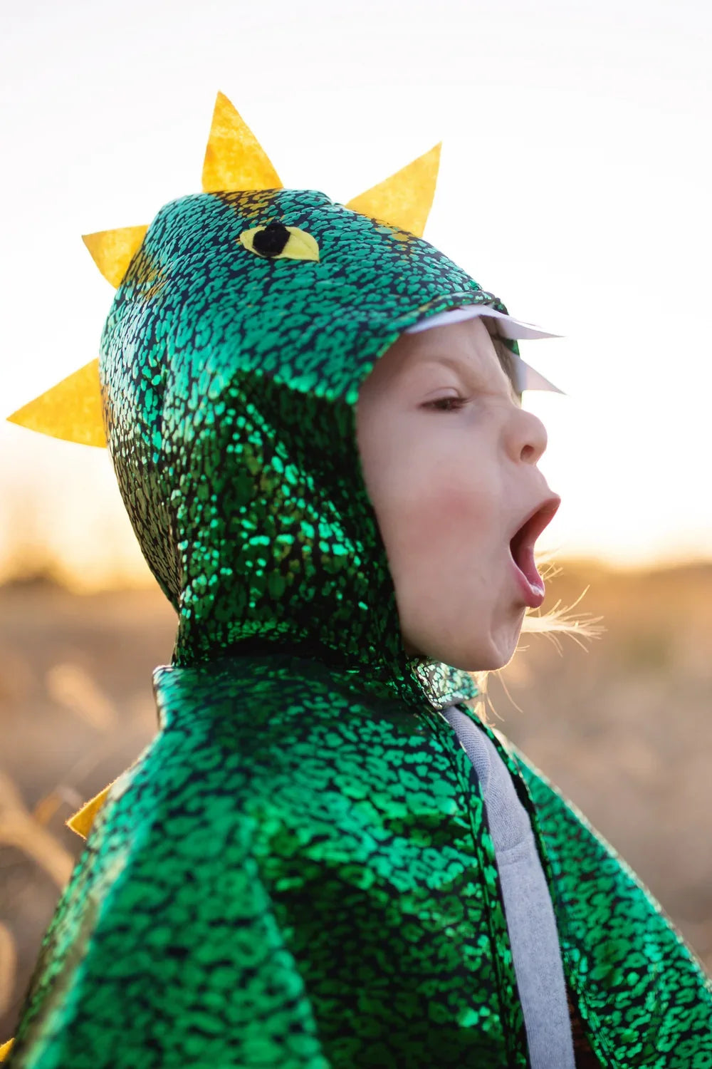 Toddler Dragon Cape For Kids 2-3