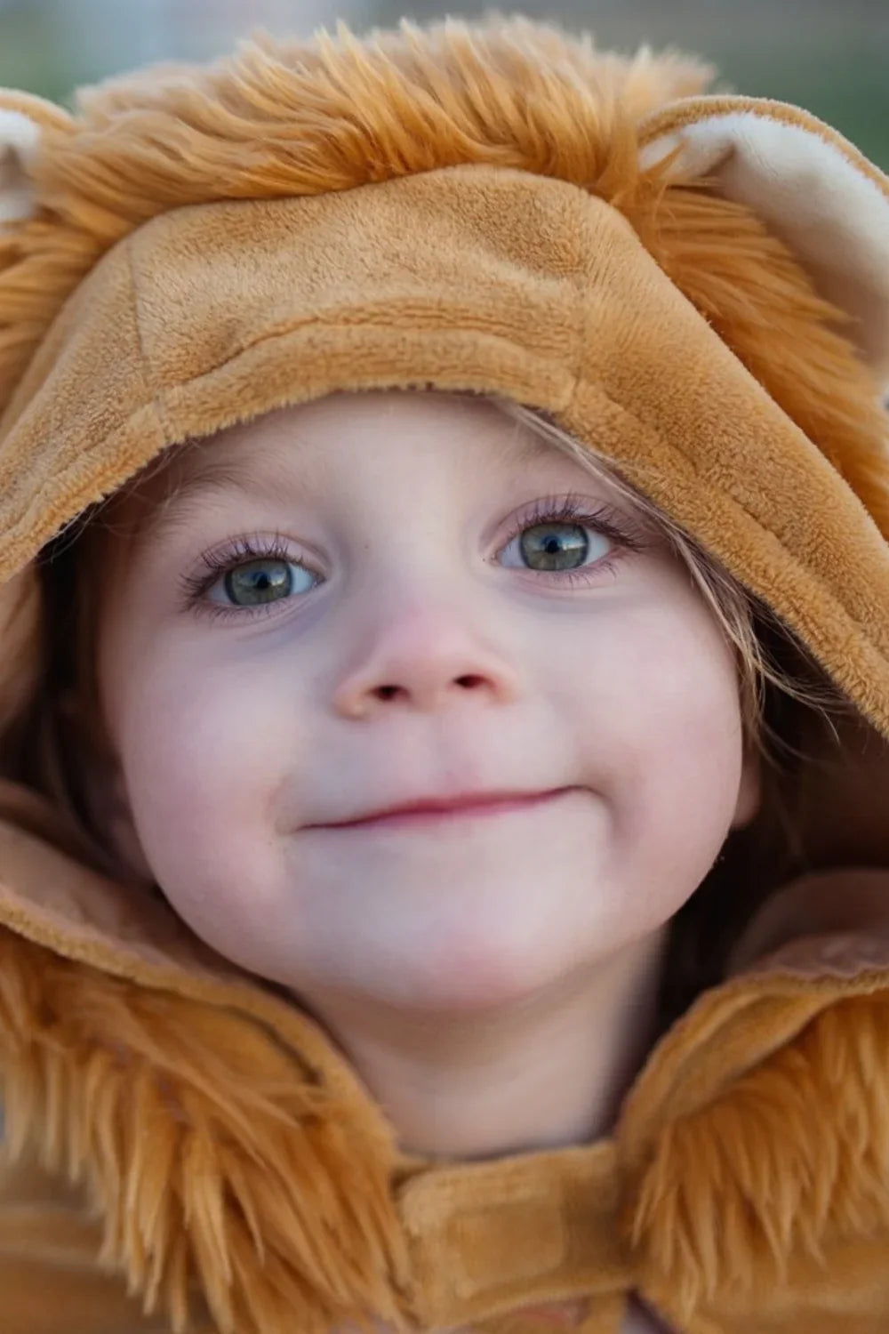 Toddler Lion Costume Cape, For Kids 2-3
