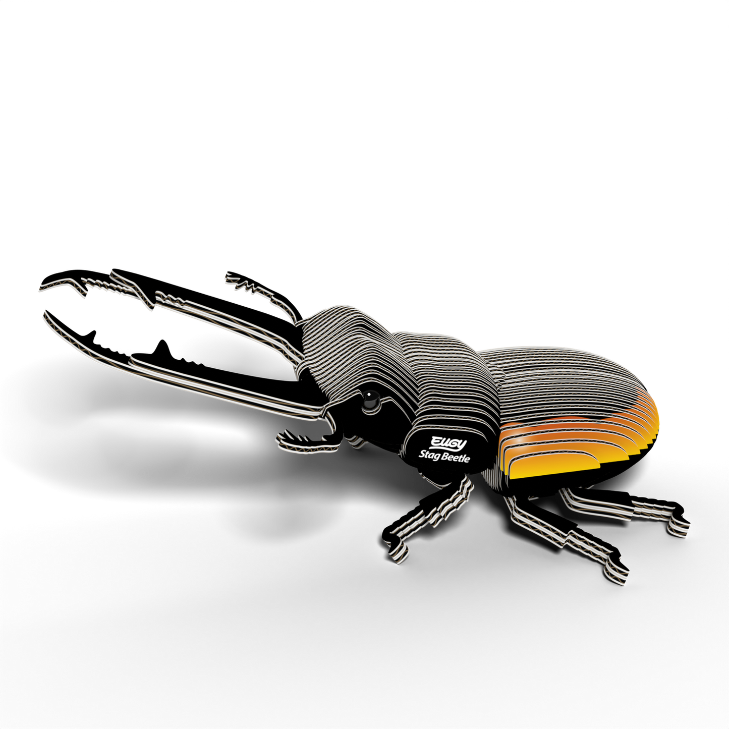 Stag Beetle EUGY