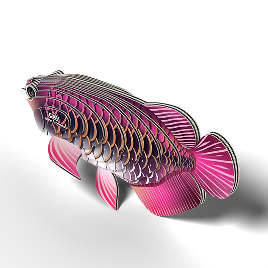 Asian Arowana EUGY