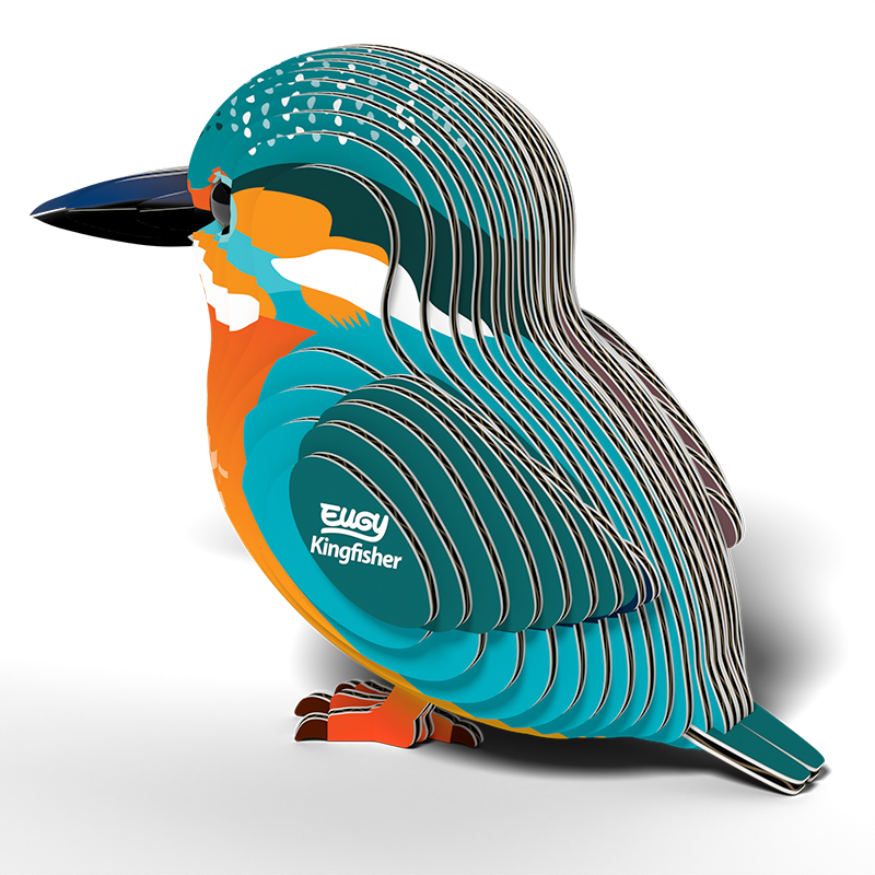 Kingfisher EUGY