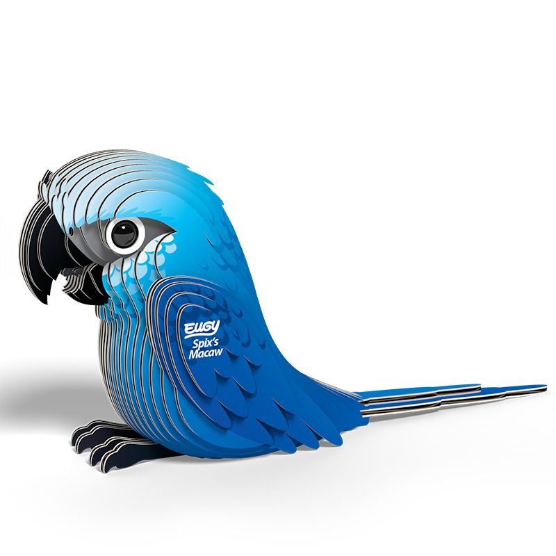 Spix's Macaw EUGY