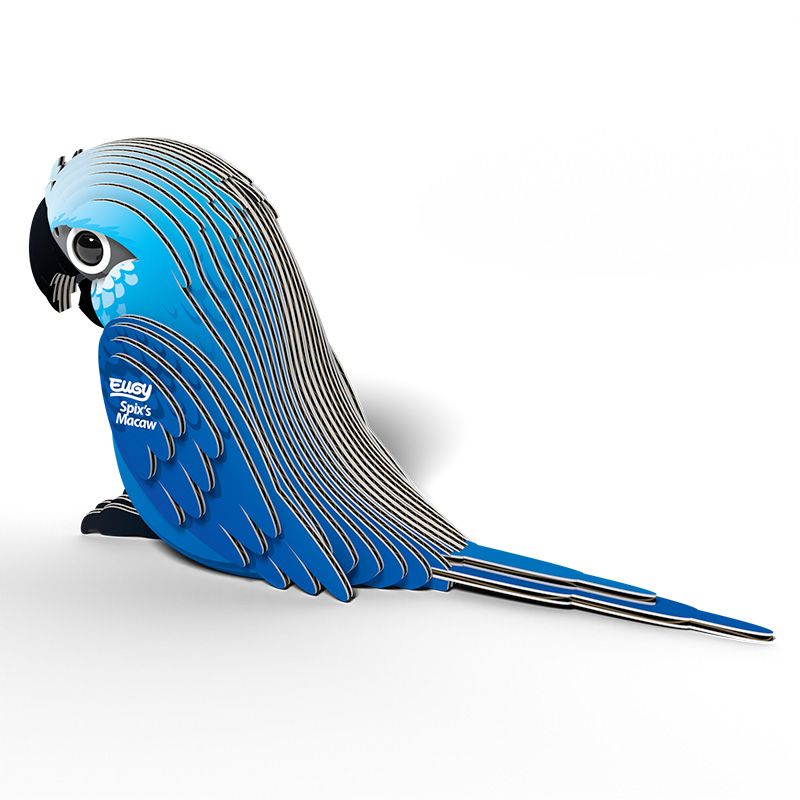 Spix's Macaw EUGY