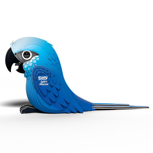 Spix's Macaw EUGY