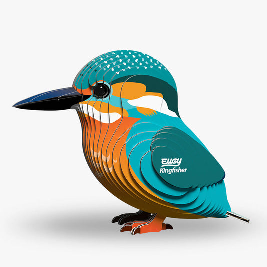 Kingfisher EUGY