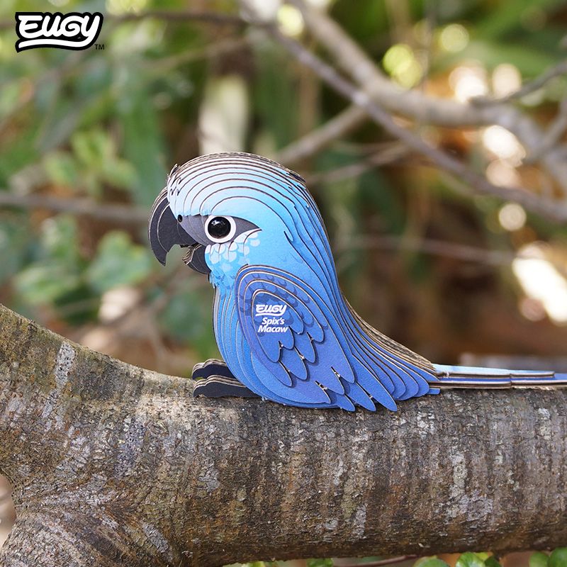 Spix's Macaw EUGY