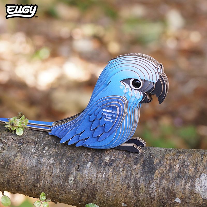 Spix's Macaw EUGY
