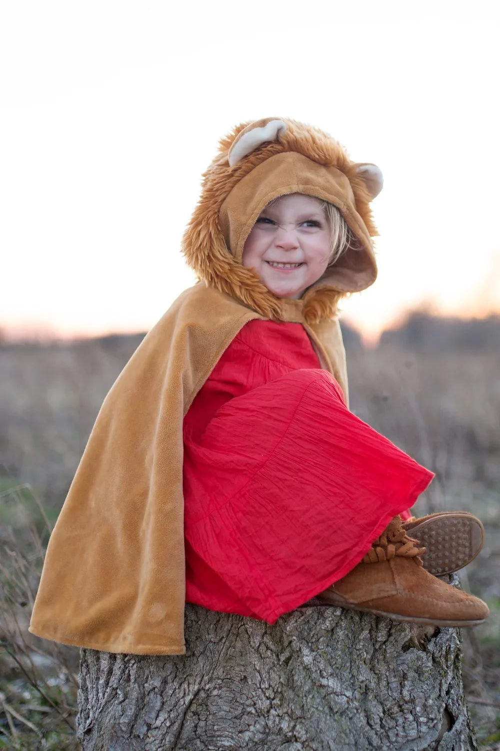 Toddler Lion Costume Cape, For Kids 2-3