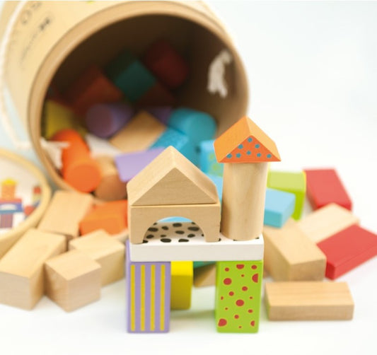 50 Wooden Blocks Andreu Toys