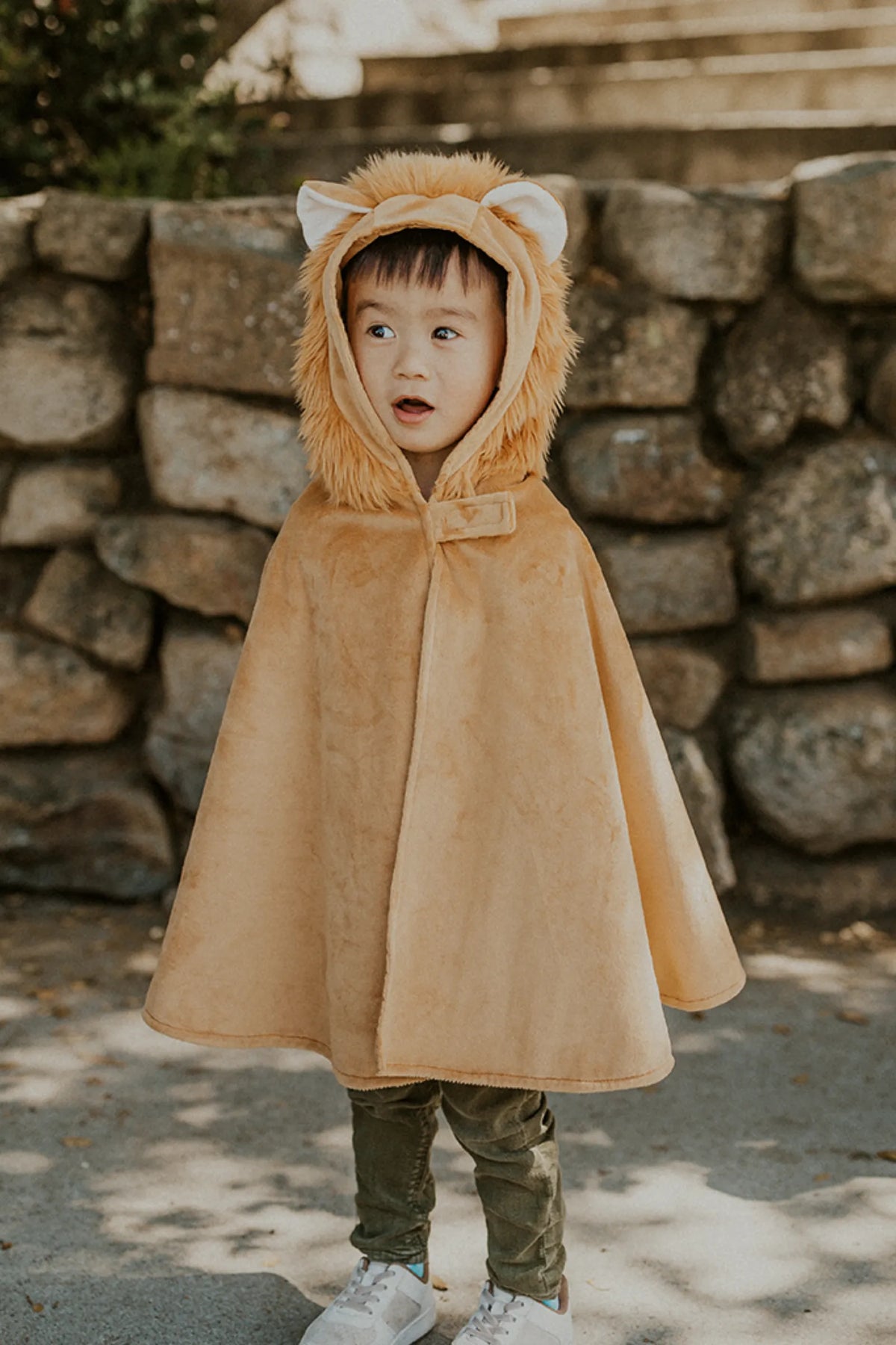 Toddler Lion Costume Cape, For Kids 2-3