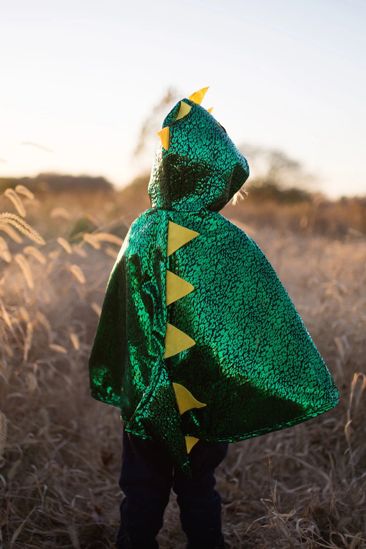 Toddler Dragon Cape For Kids 2-3