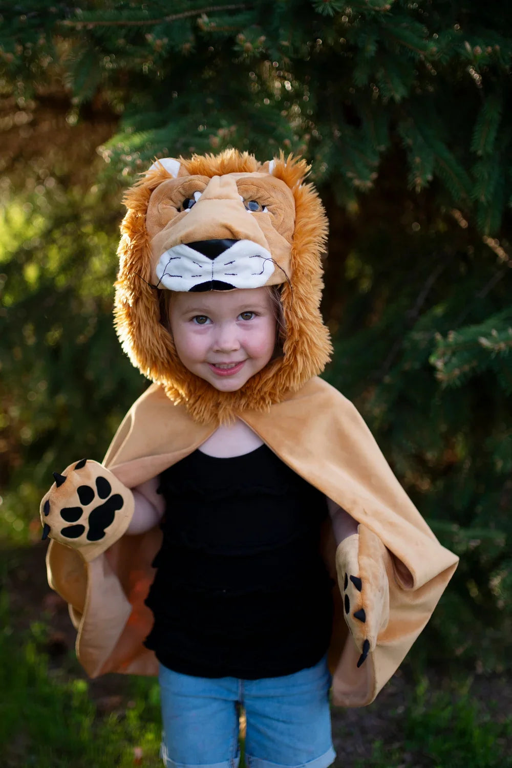 Storybook Lion Costume Cape For Kids 3-7