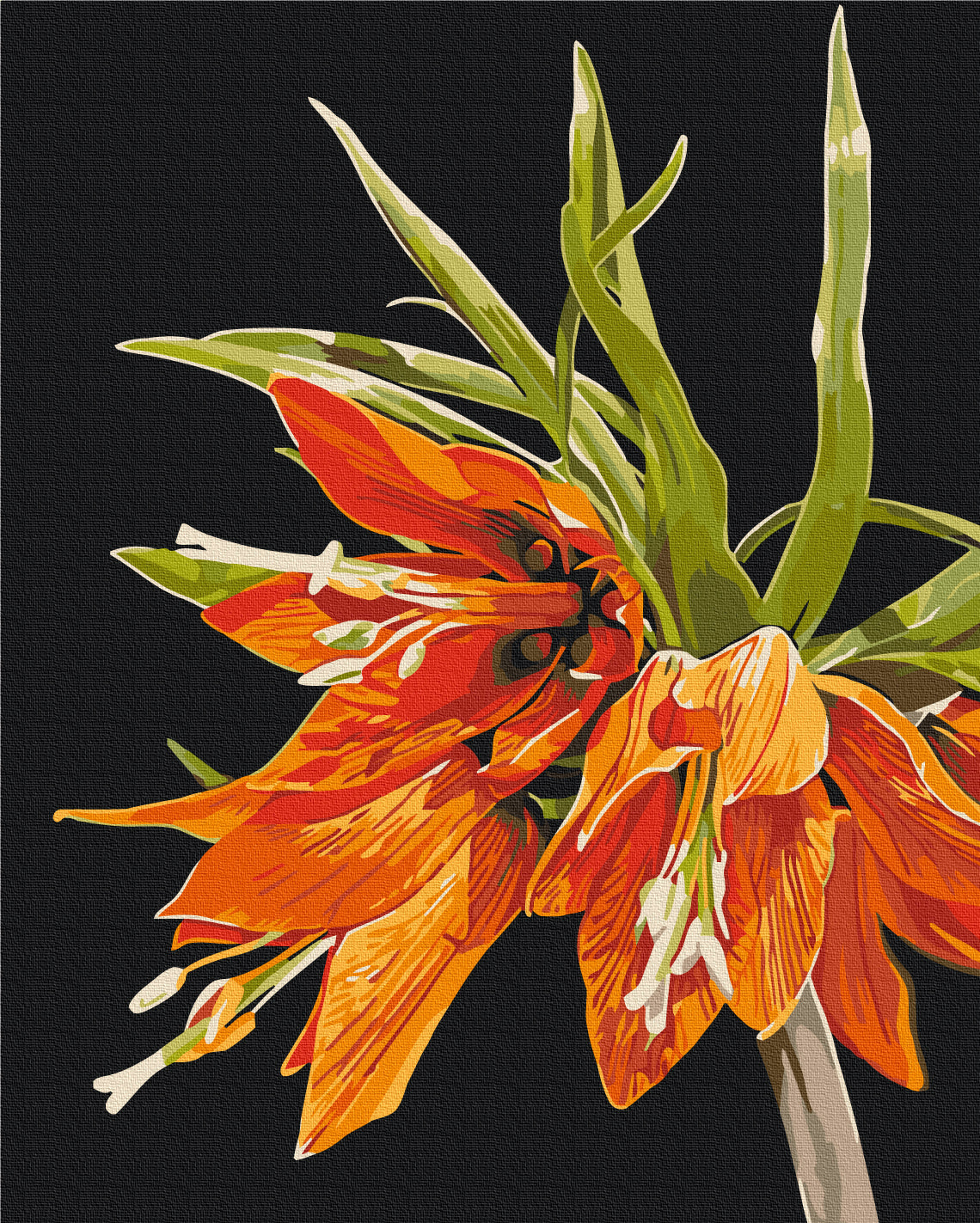 Fritillaria © Anastasiia Osmolovska   Paint by Numbers, Brushme