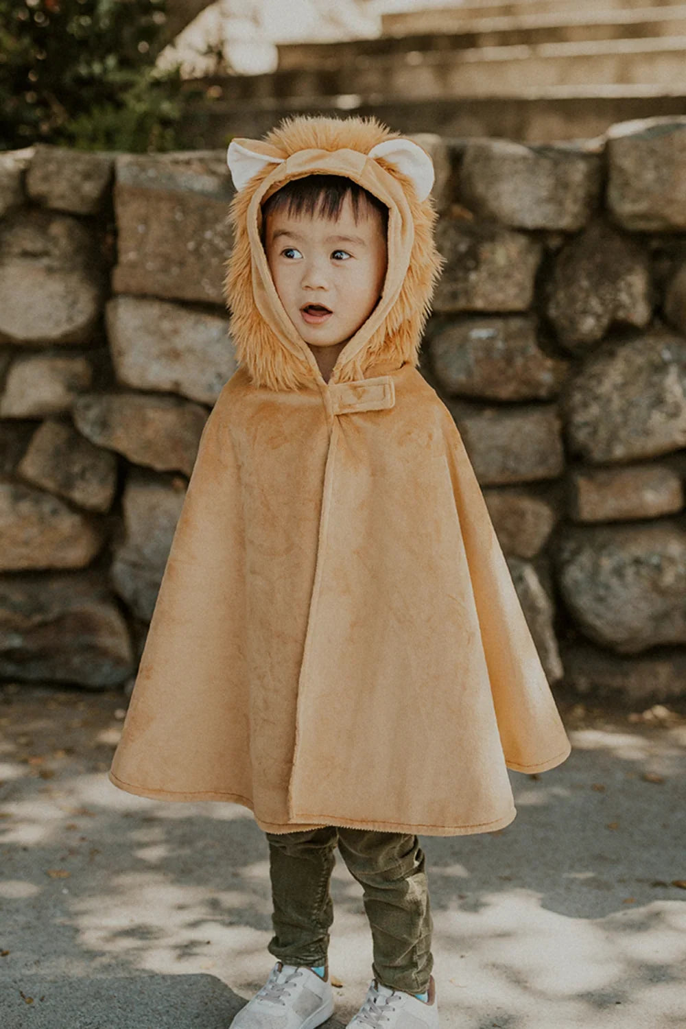 Toddler Lion Costume Cape, For Kids 2-3