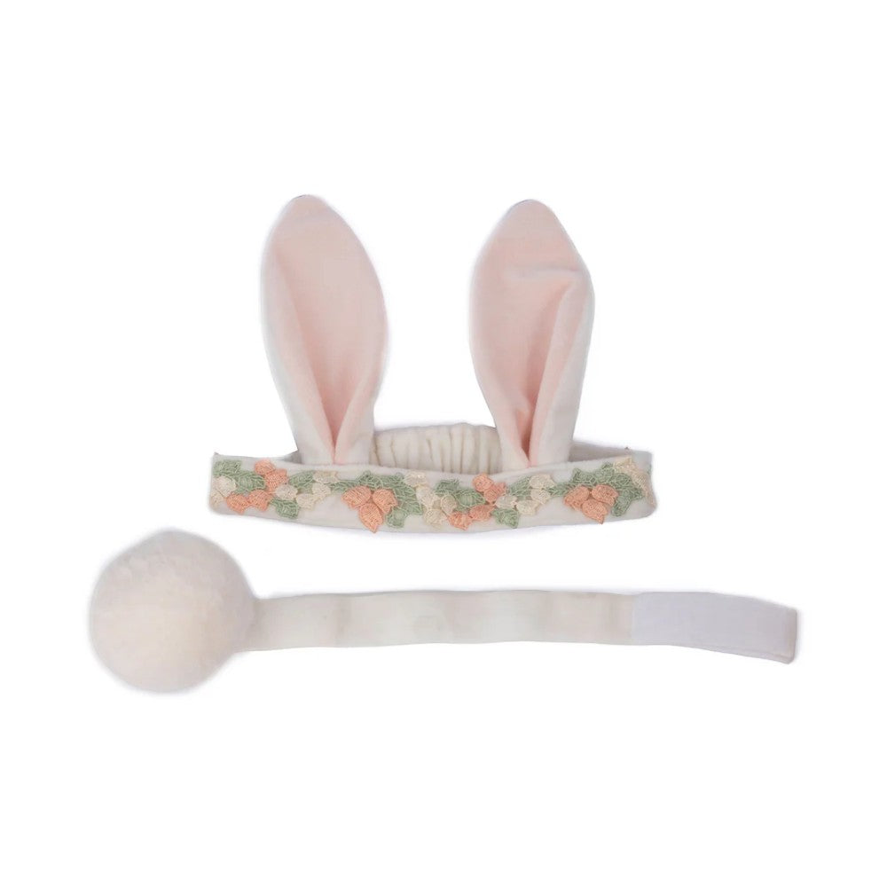 Ears and Tail Accessory Set: Hippity Hop Bunny: 2 Pieces, Costume Accessory for Kids 3+