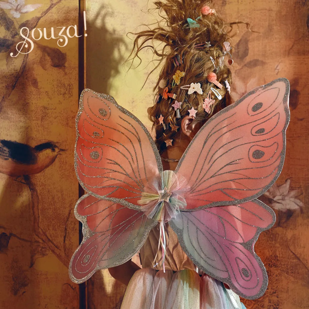 Louanne, Fairy Costume for Kids 3-4